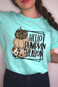 Hello Pumpkin Season Tee