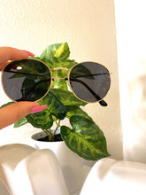 Load image into Gallery viewer, Playa Sunnies
